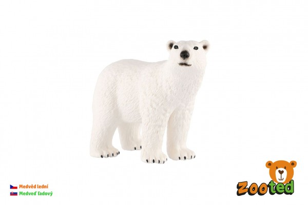 Medvěd lední