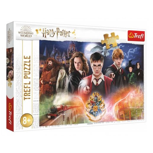 Puzzle Tajemství Harry Potter 300 dílků 60x40cm 