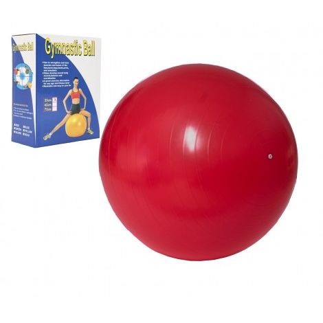 Gymnastický míč relaxační 55 cm