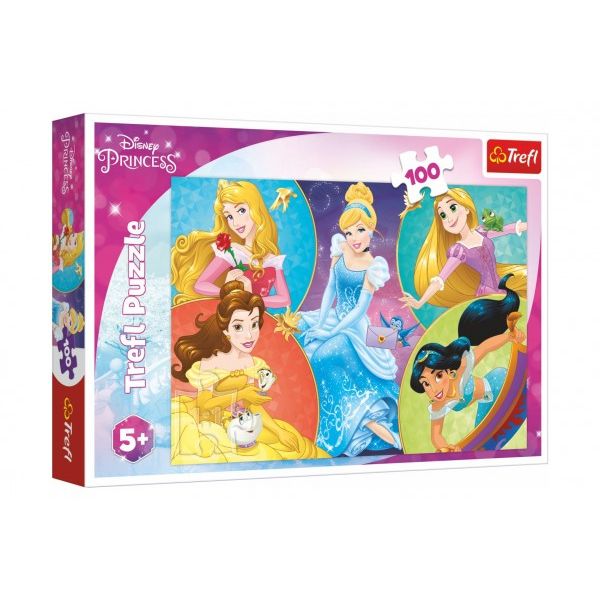 Puzzle Poznejte sladké princezny/Disney Princess