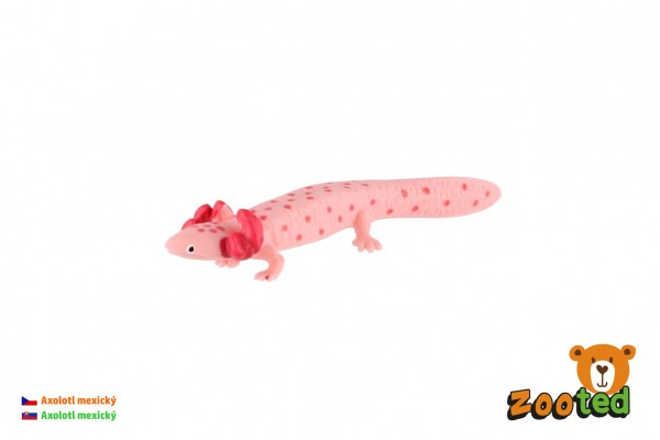 Axolotl mexický zooted